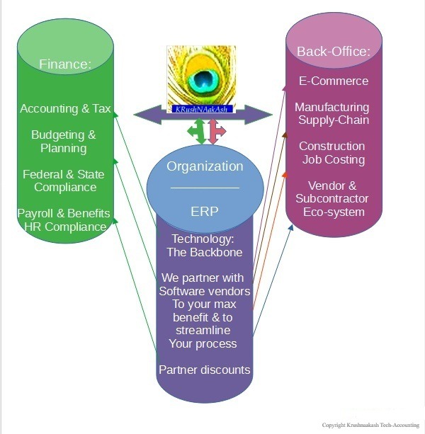 Flowchart illustrating the integration of finance, organization, and back-office operations through ERP technology, highlighting key areas of service.